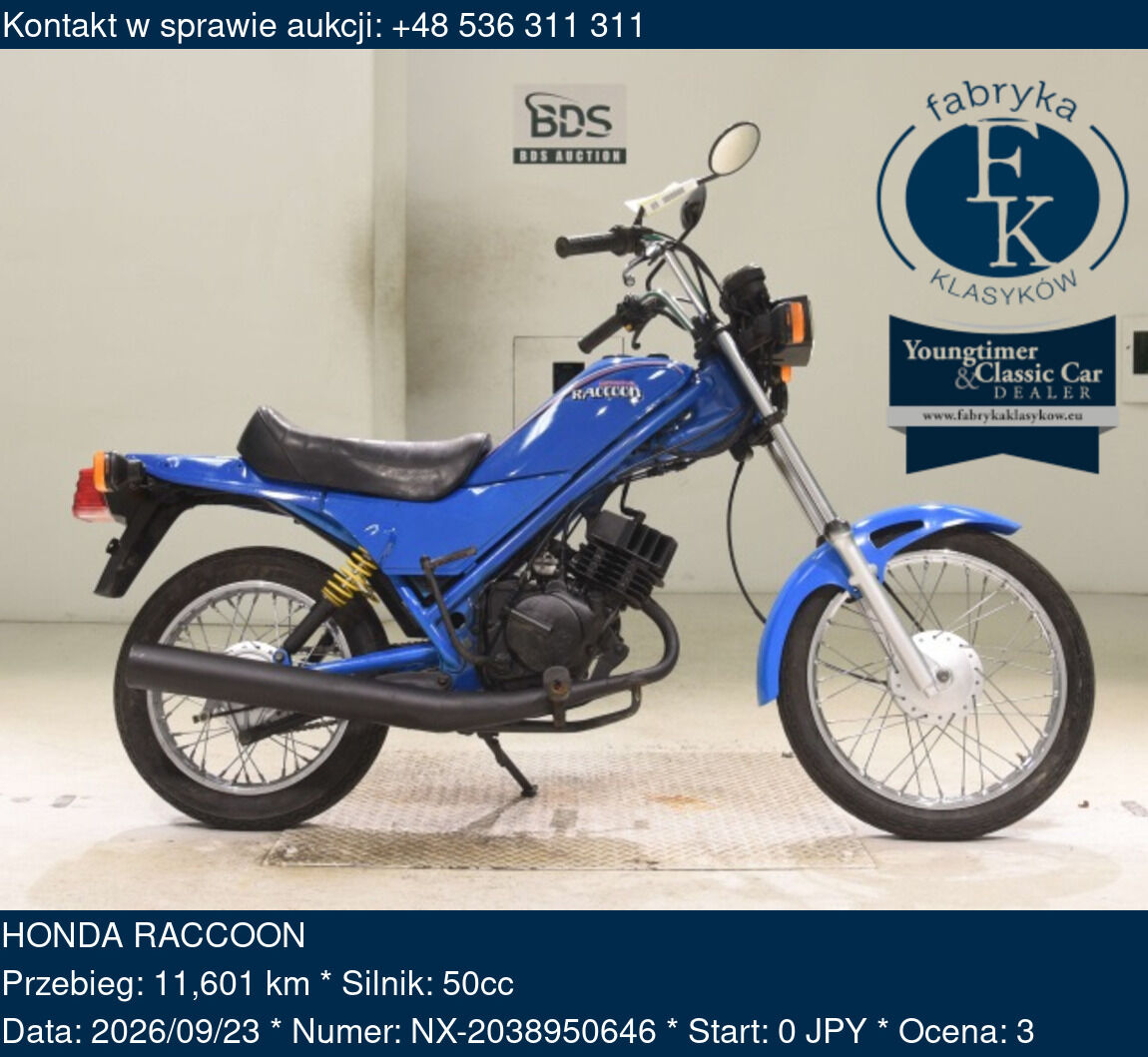 HONDA RACCOON - zdjęcie 2