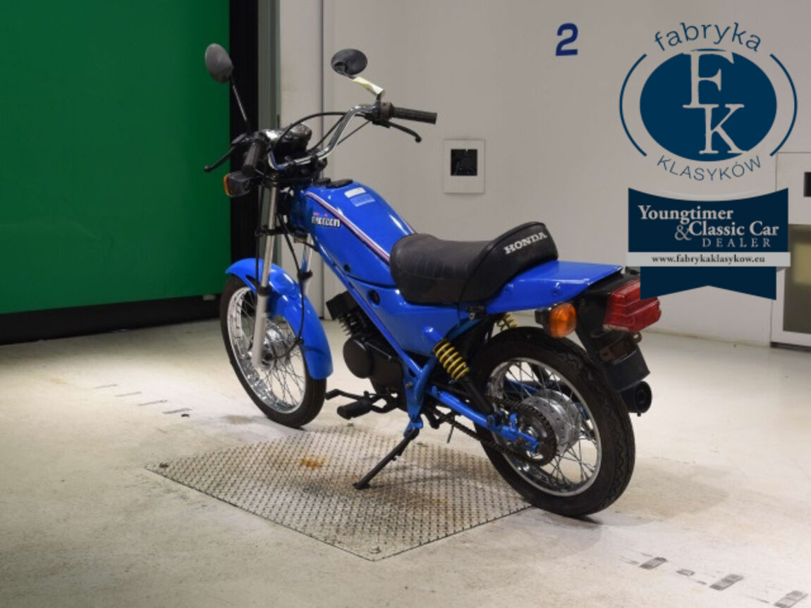 HONDA RACCOON - zdjęcie 7