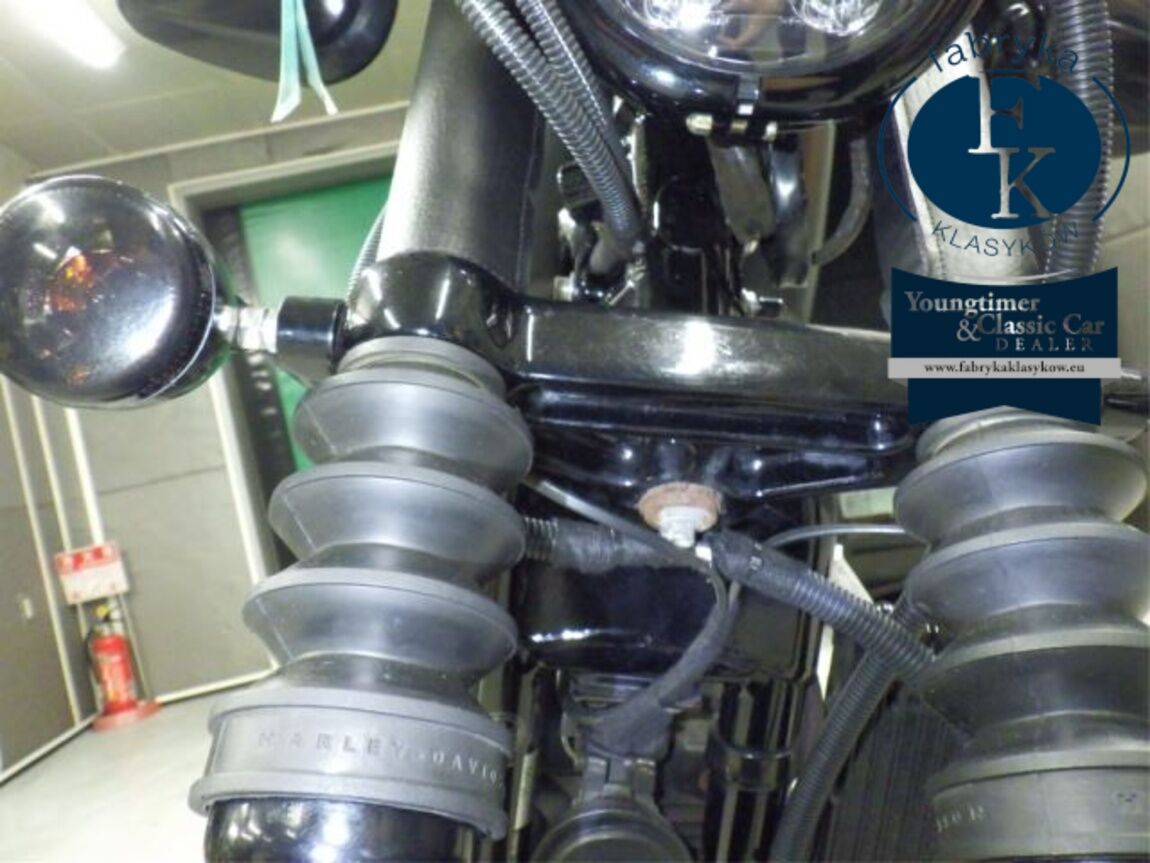 HARLEY-DAVIDSON XL883N 2010 - zdjęcie 26