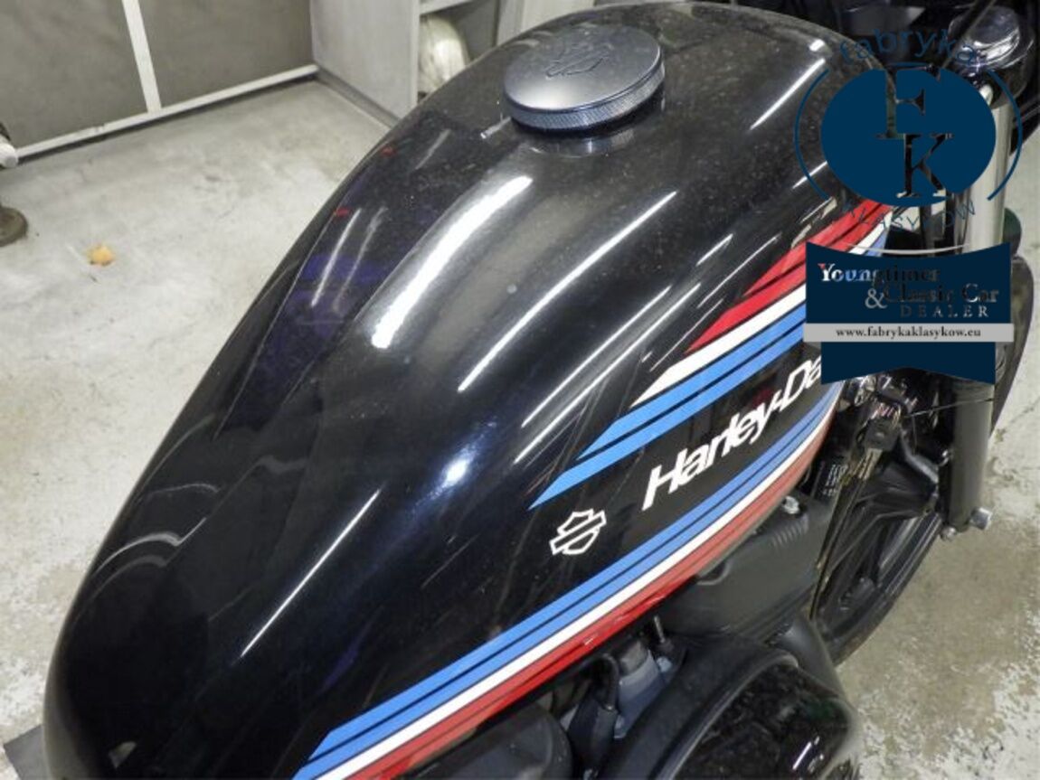 HARLEY-DAVIDSON XL1200NS 2020 - zdjęcie 18