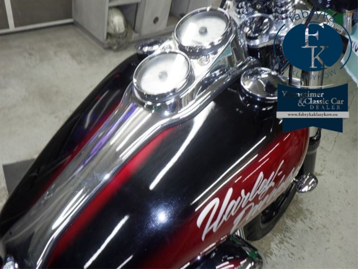HARLEY-DAVIDSON FXDL1580 2011 - zdjęcie 18
