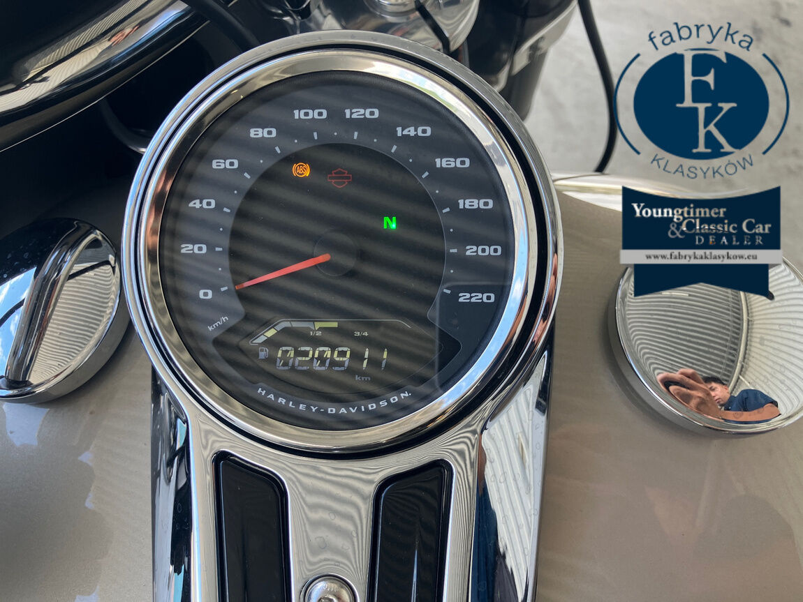 HARLEY-DAVIDSON FLSB 2019 - zdjęcie 6