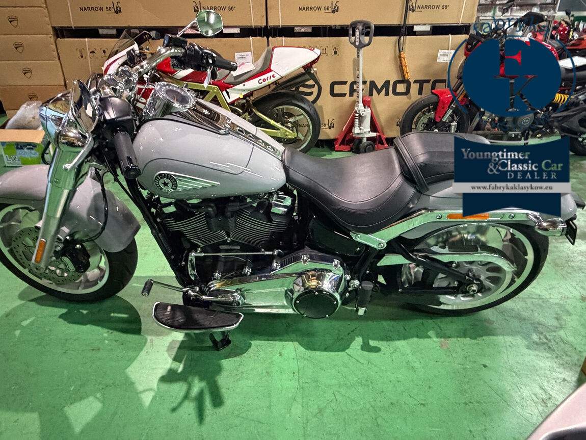 HARLEY-DAVIDSON FLFB 2025 - zdjęcie 3