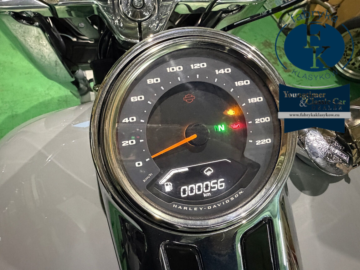 HARLEY-DAVIDSON FLFB 2025 - zdjęcie 4