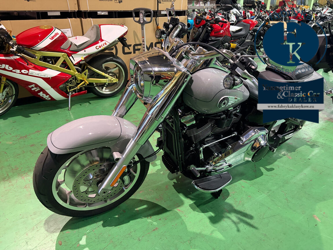 HARLEY-DAVIDSON FLFB 2025 - zdjęcie 12