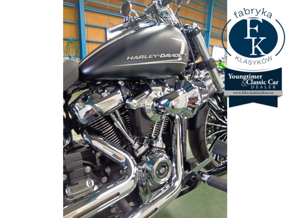 HARLEY-DAVIDSON FXBR 2023 - zdjęcie 13