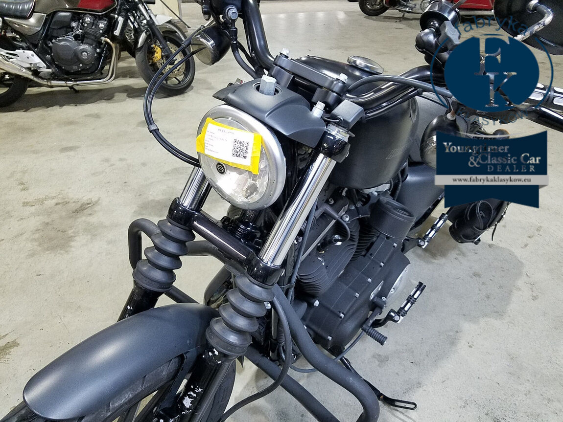 HARLEY-DAVIDSON XL883N 2010 - zdjęcie 6