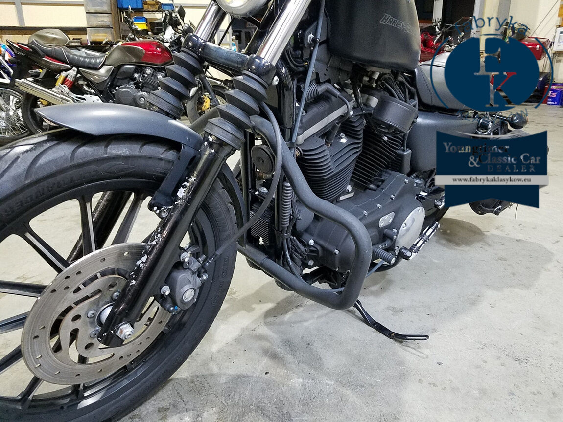 HARLEY-DAVIDSON XL883N 2010 - zdjęcie 7