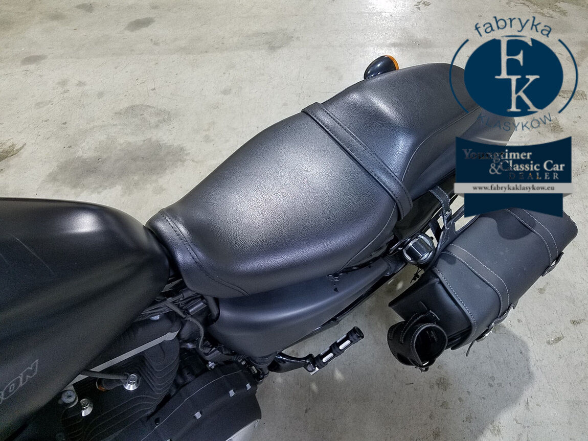 HARLEY-DAVIDSON XL883N 2010 - zdjęcie 11