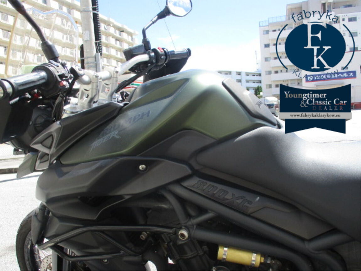 TRIUMPH TIGER 900 RALLY PRO 2014 - zdjęcie 19