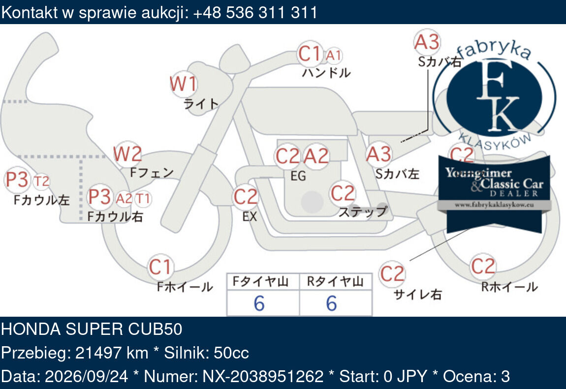 HONDA SUPER CUB50  - zdjęcie 2