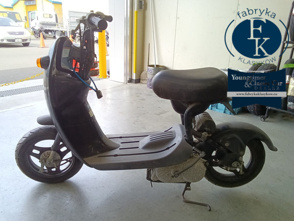 SUZUKI CHOINORI - zdjęcie 3