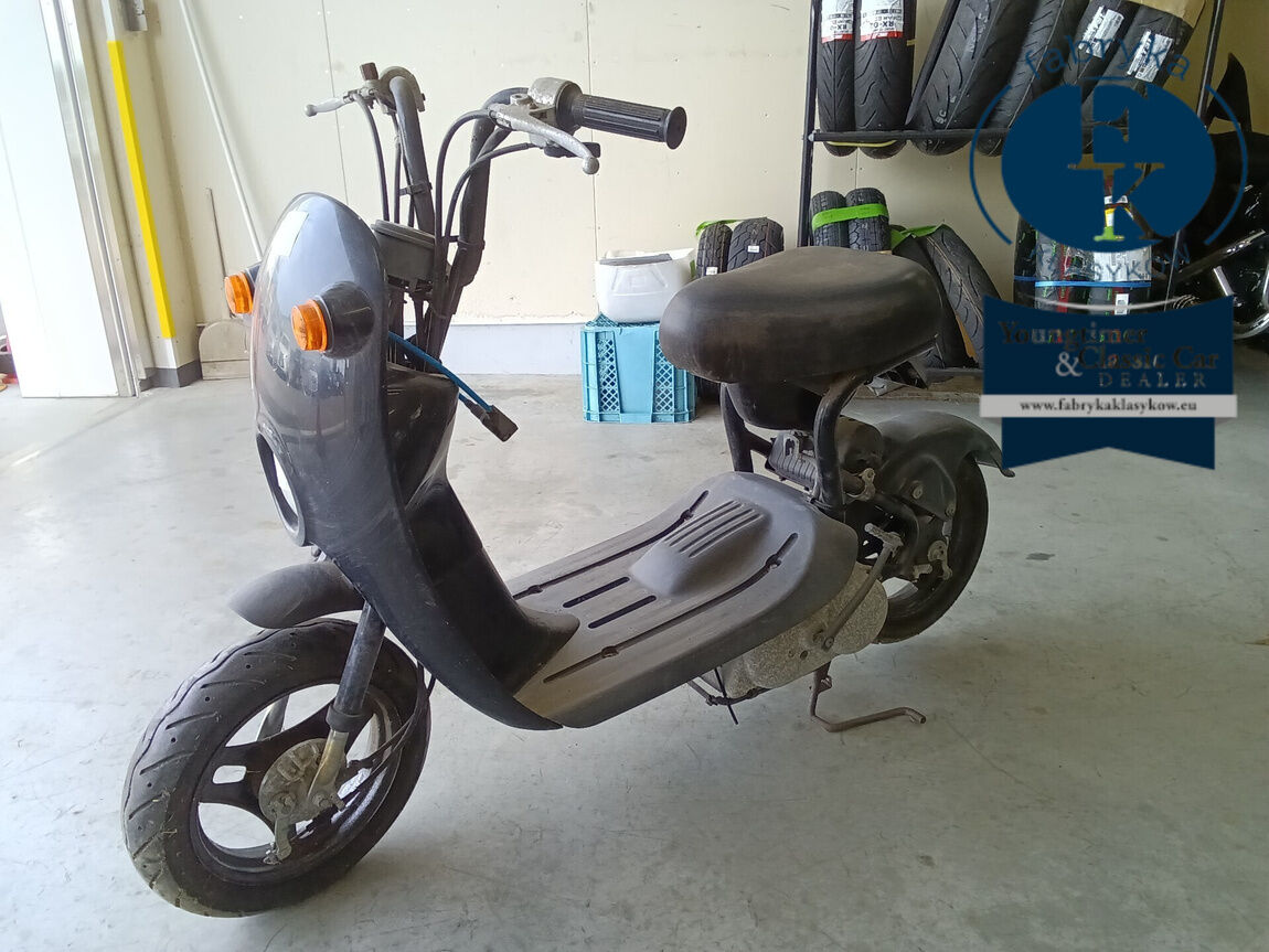 SUZUKI CHOINORI - zdjęcie 5