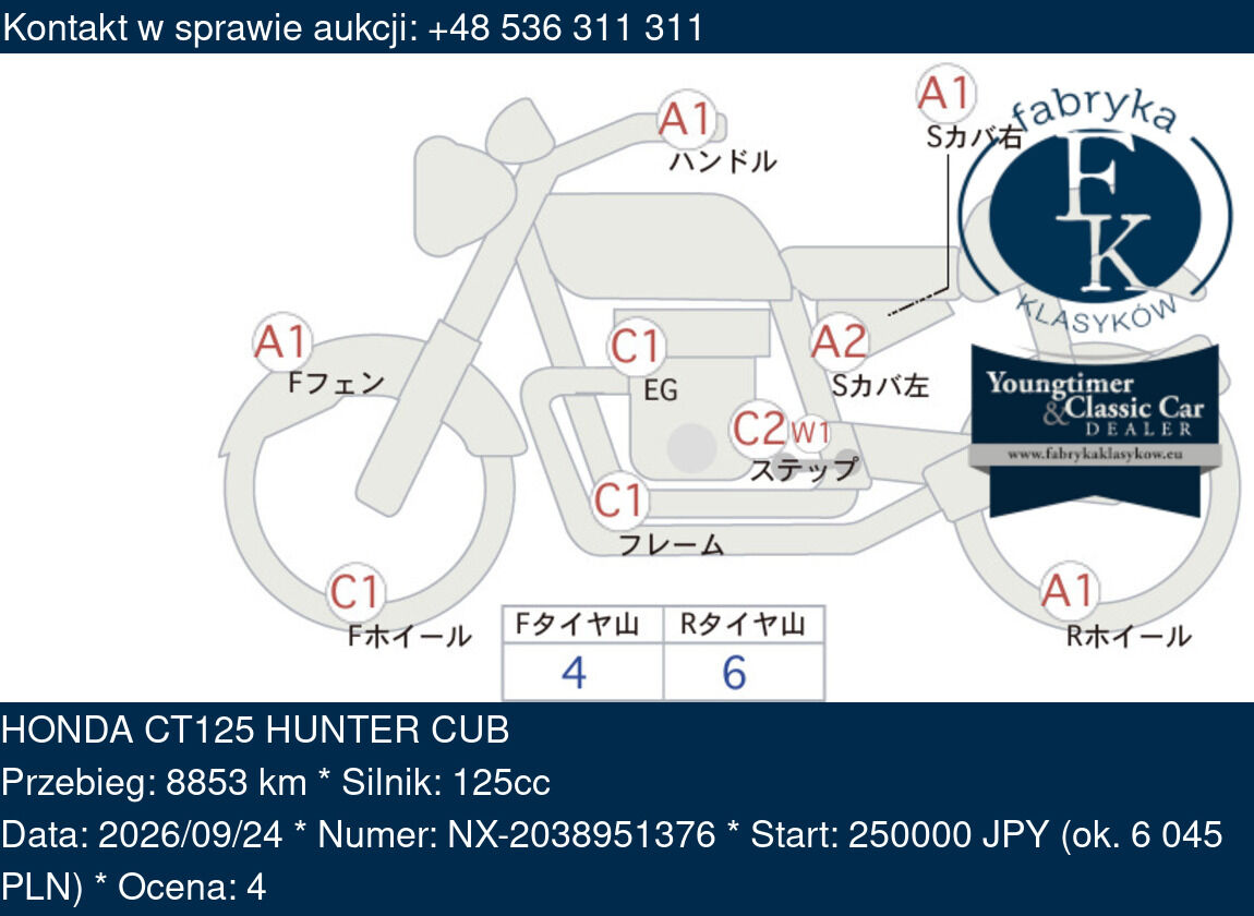 HONDA CT125 HUNTER CUB  - zdjęcie 2