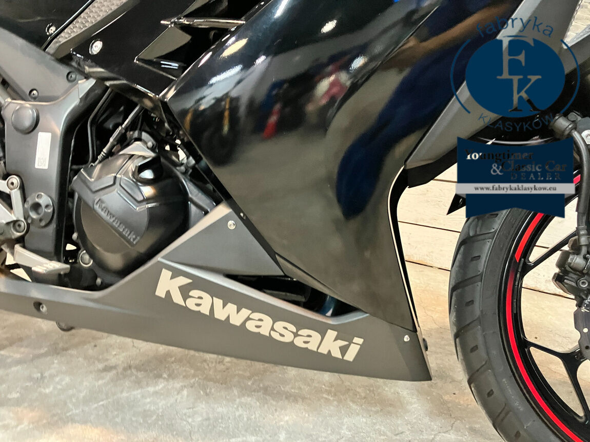 KAWASAKI Ninja 250 - zdjęcie 15