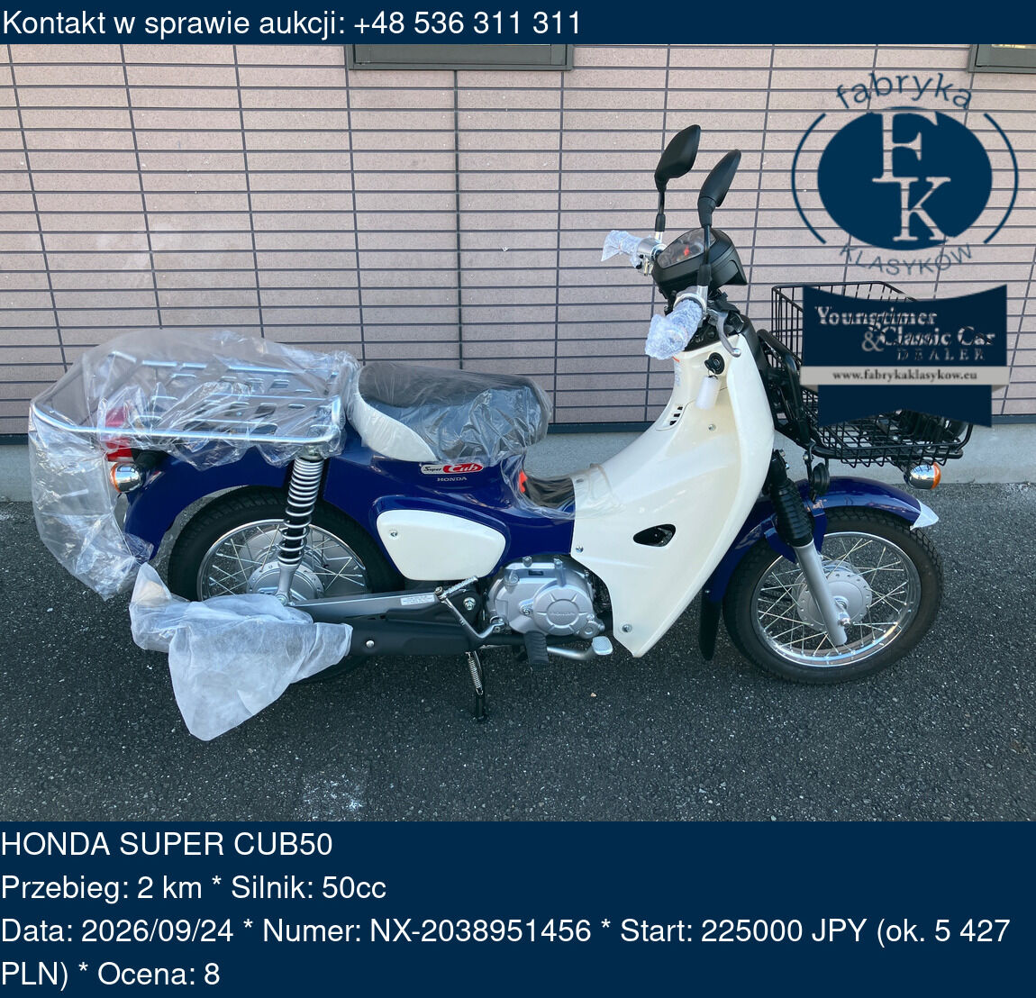 HONDA SUPER CUB50  - zdjęcie 2