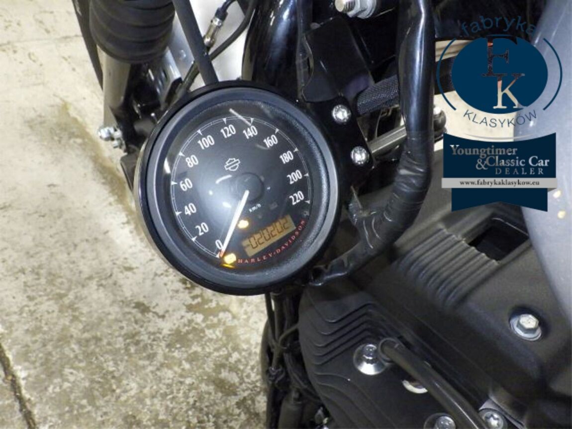 HARLEY-DAVIDSON XL1200NS 2020 - zdjęcie 15