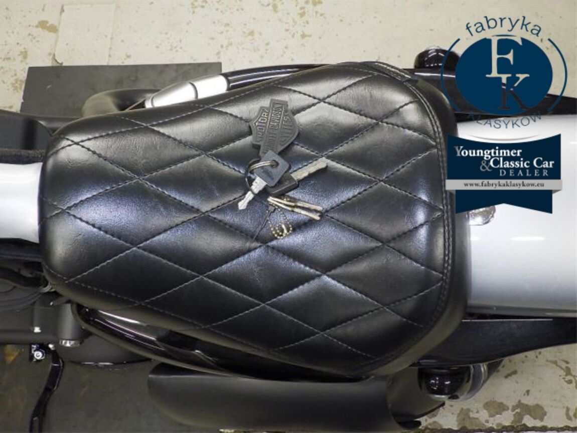 HARLEY-DAVIDSON XL1200NS 2020 - zdjęcie 16