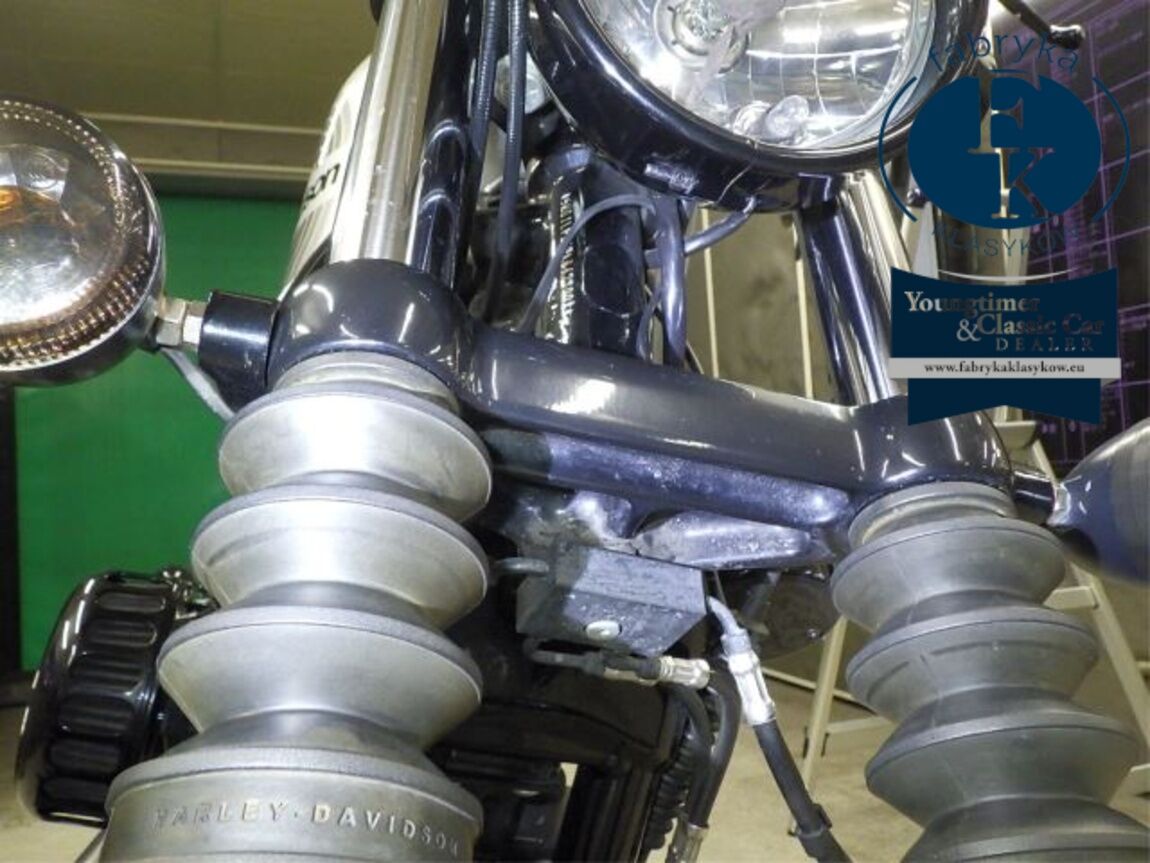 HARLEY-DAVIDSON XL1200NS 2020 - zdjęcie 21
