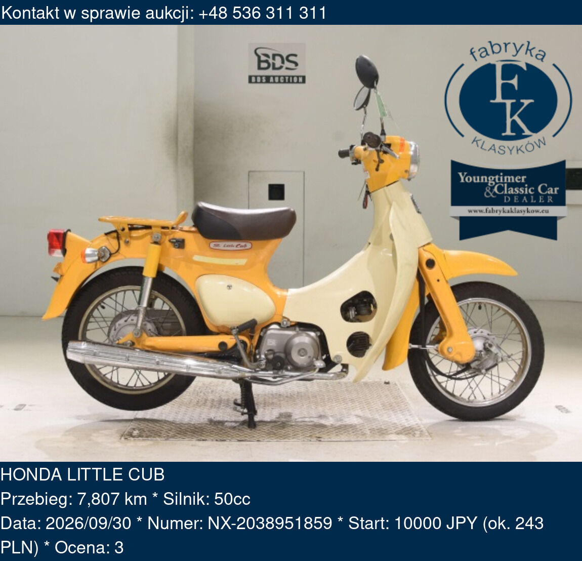 HONDA LITTLE CUB  - zdjęcie 2