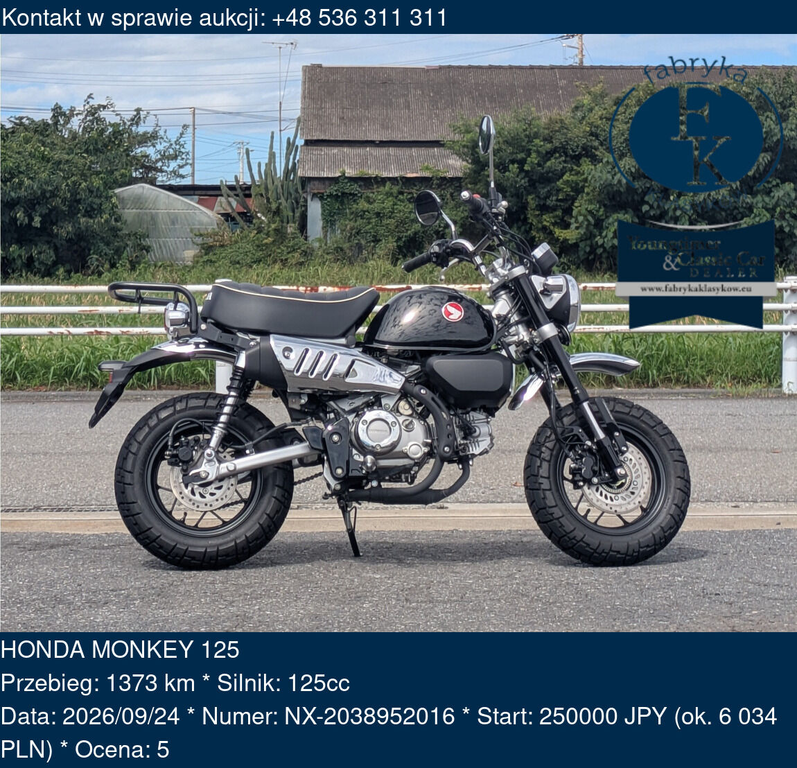 HONDA MONKEY 125  - zdjęcie 2
