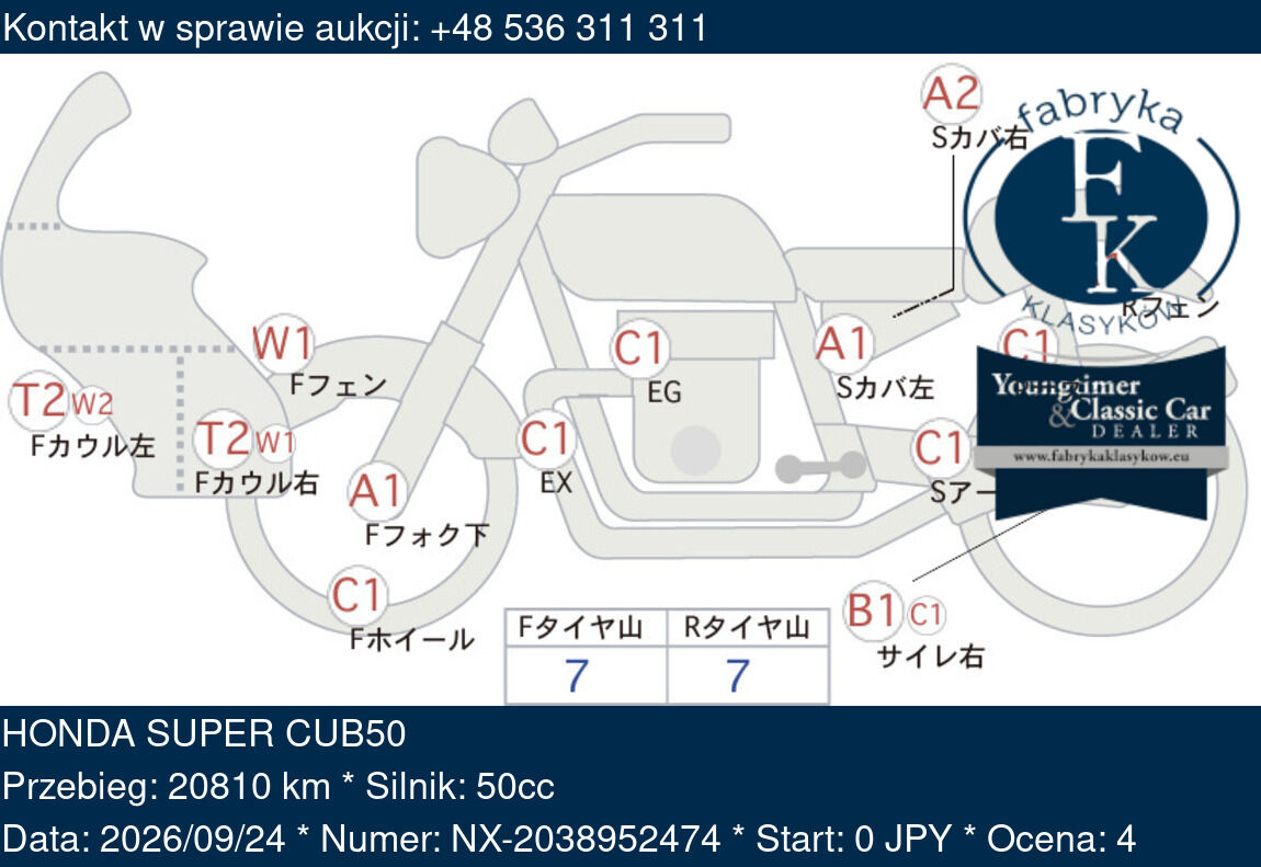 HONDA SUPER CUB50  - zdjęcie 2
