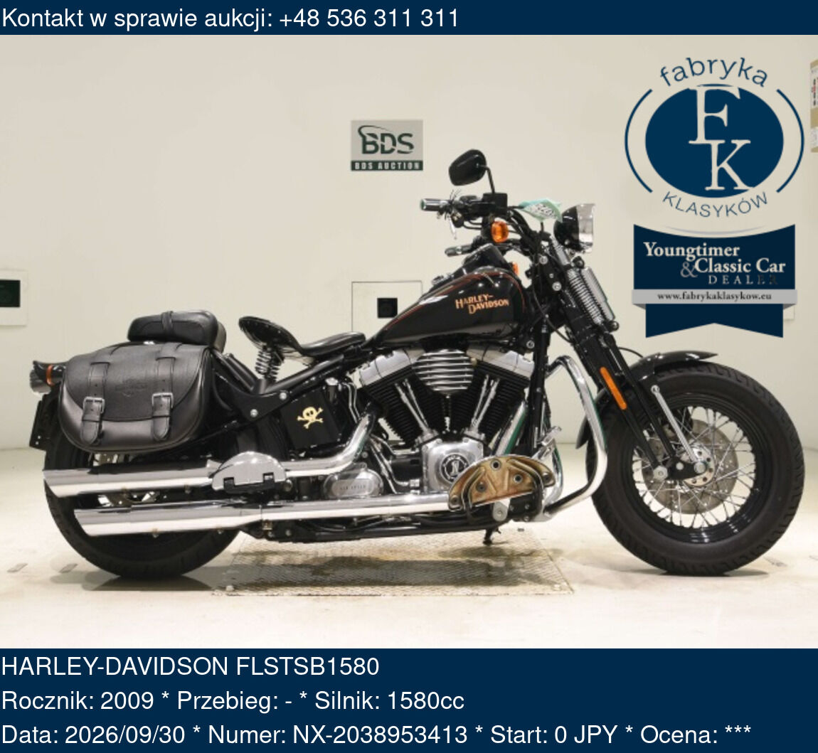 HARLEY-DAVIDSON FLSTSB1580 2009 - zdjęcie 2