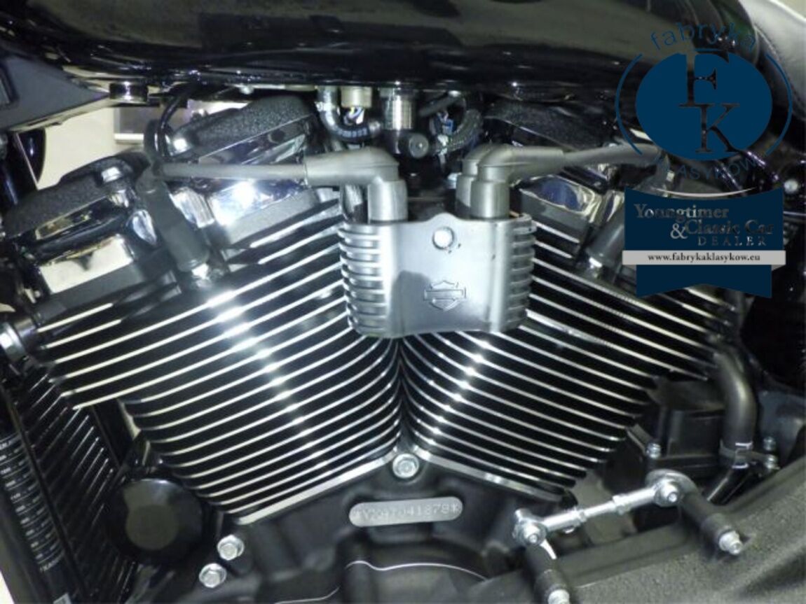 HARLEY-DAVIDSON FXLRST1920 2026 - zdjęcie 11
