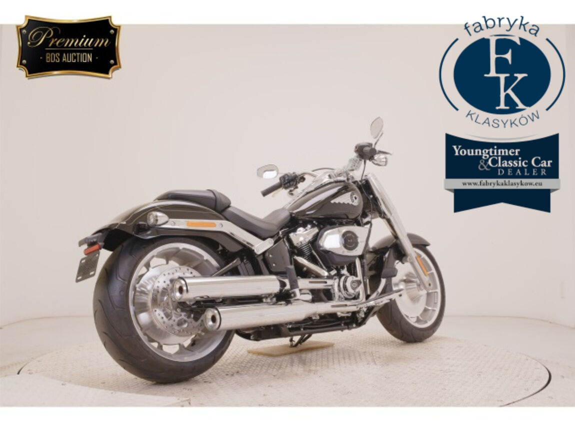 HARLEY-DAVIDSON FLFB1920 2026 - zdjęcie 6