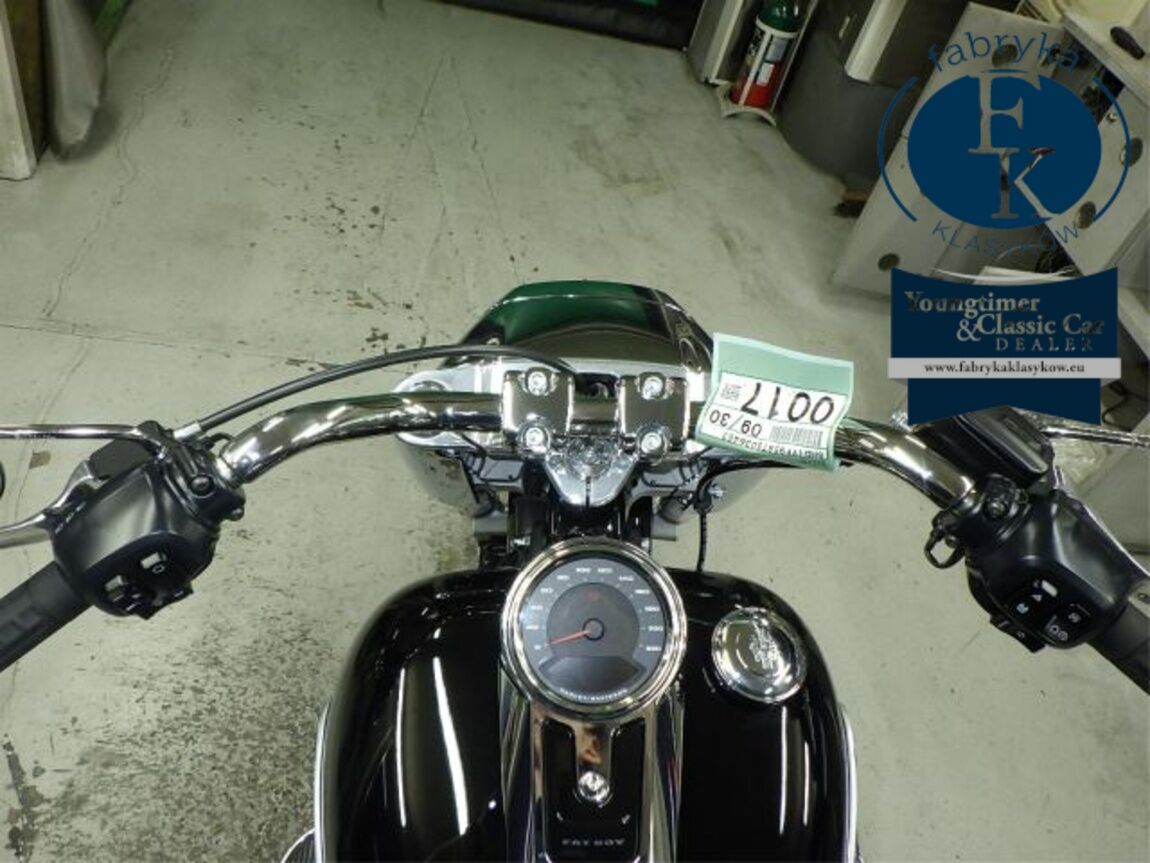 HARLEY-DAVIDSON FLFB1920 2026 - zdjęcie 21