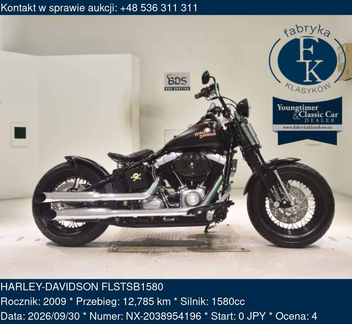 HARLEY-DAVIDSON FLSTSB1580 2009 - zdjęcie 2