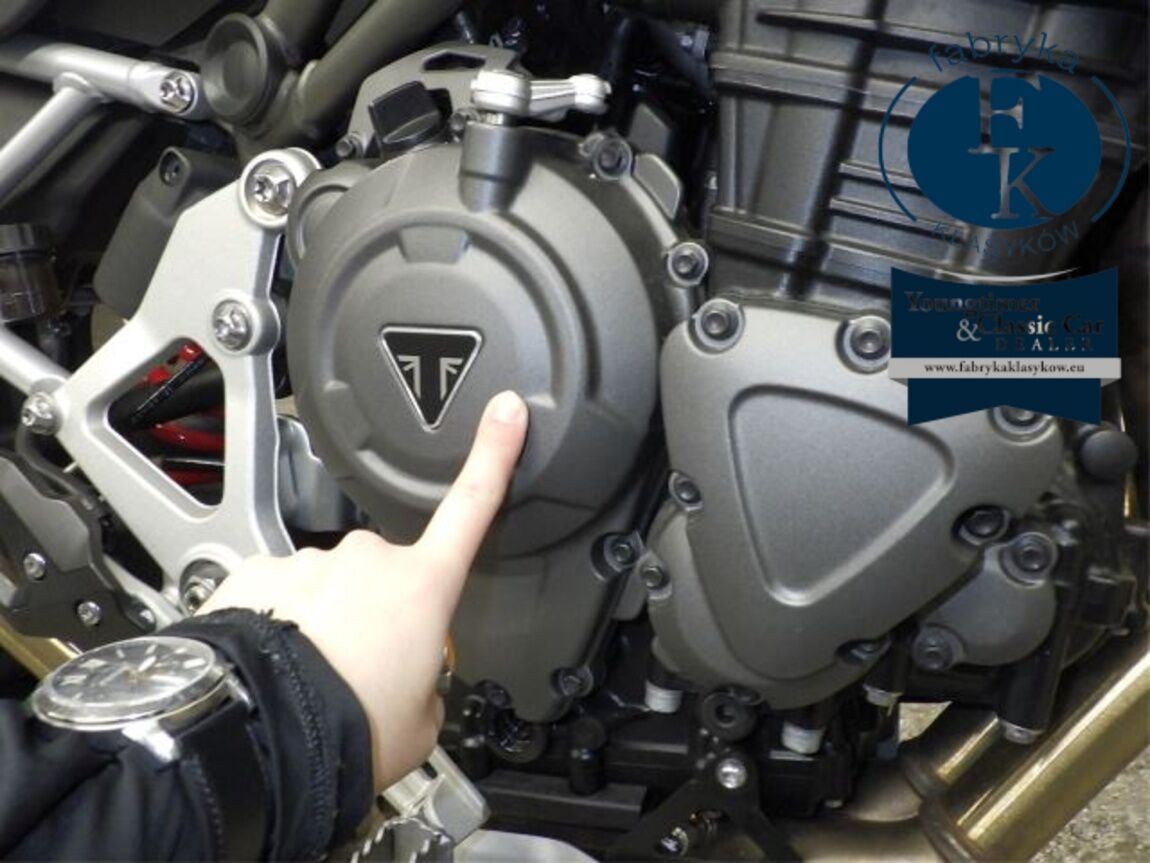 TRIUMPH TIGER 1200GTPRO 2024 - zdjęcie 9
