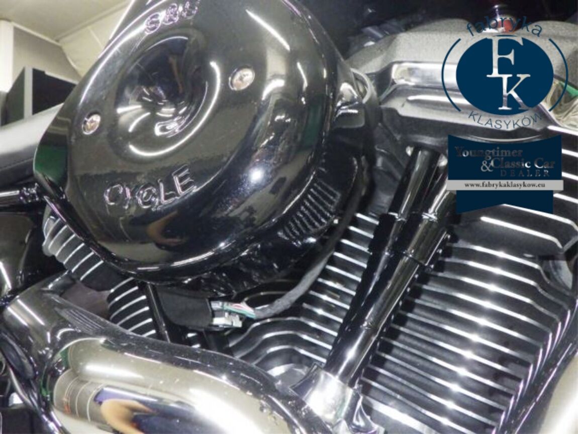 HARLEY-DAVIDSON FLSB1750 2020 - zdjęcie 9