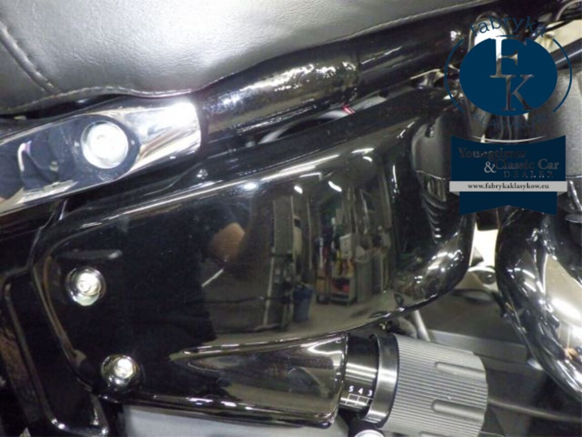 HARLEY-DAVIDSON FLSB1750 2020 - zdjęcie 18