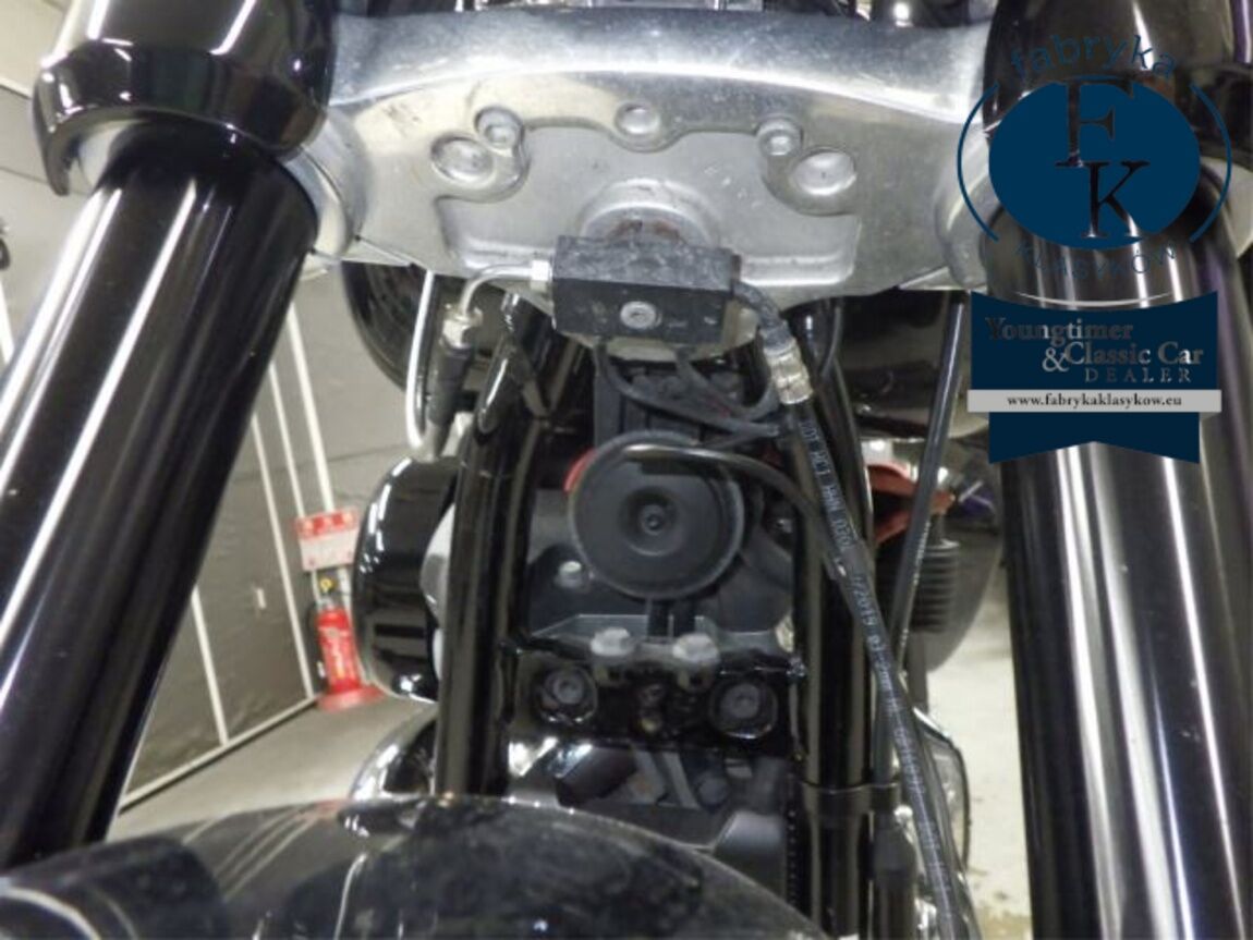 HARLEY-DAVIDSON FLSB1750 2020 - zdjęcie 21