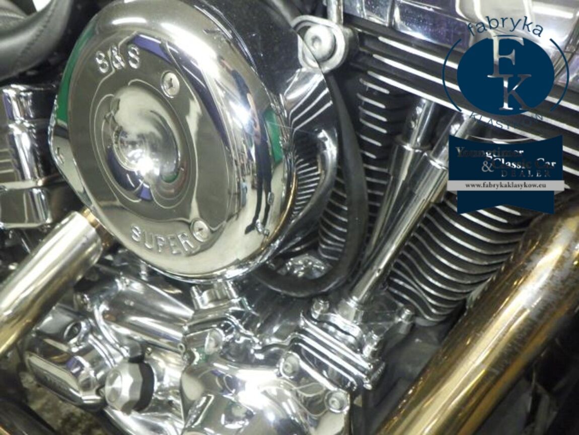 HARLEY-DAVIDSON FXDL1580 2010 - zdjęcie 9