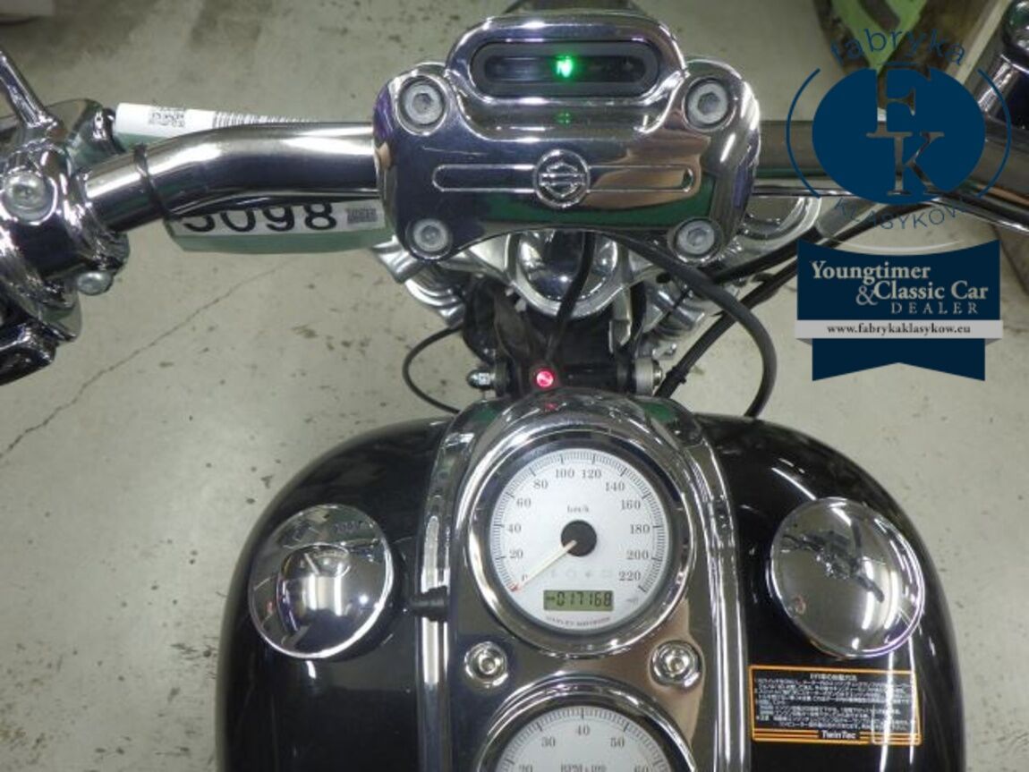 HARLEY-DAVIDSON FXDL1580 2010 - zdjęcie 13