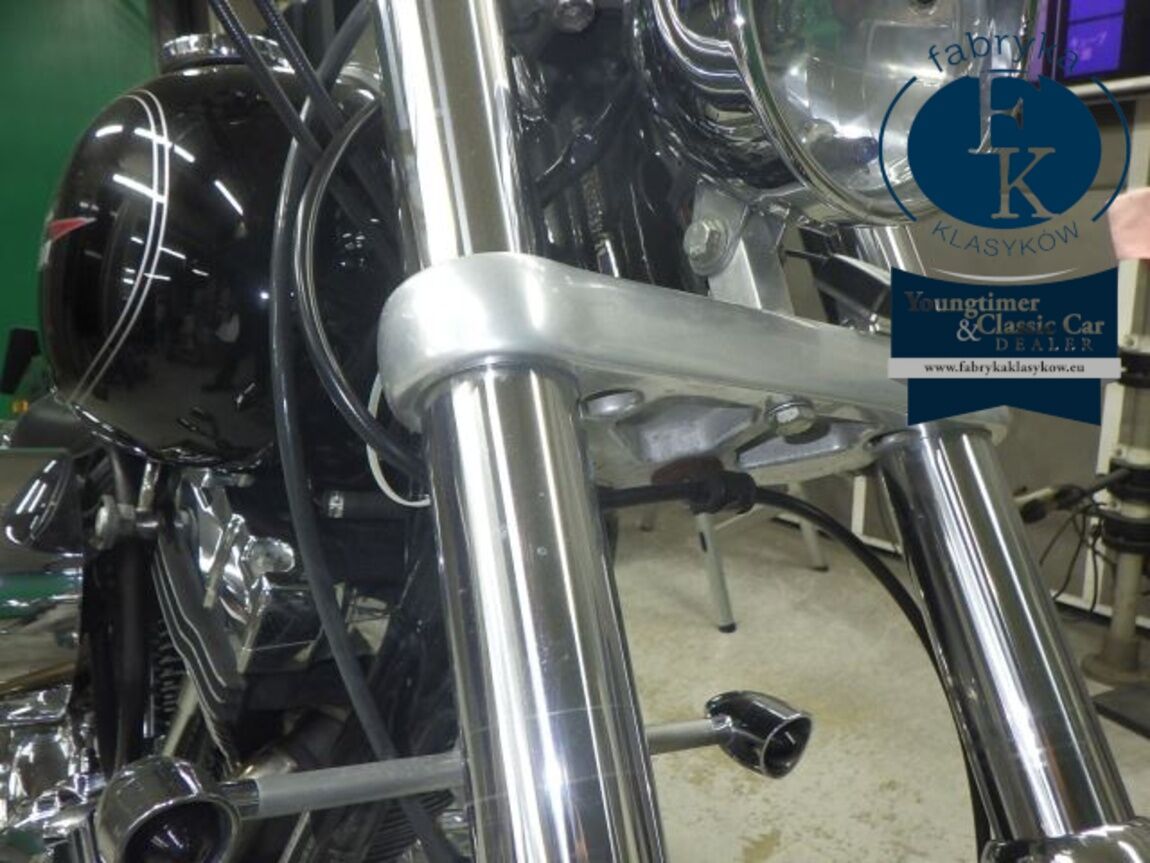 HARLEY-DAVIDSON FXDL1580 2010 - zdjęcie 23