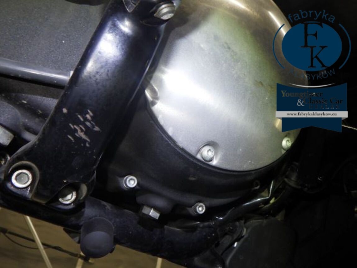 HARLEY-DAVIDSON XL883N 2020 - zdjęcie 11