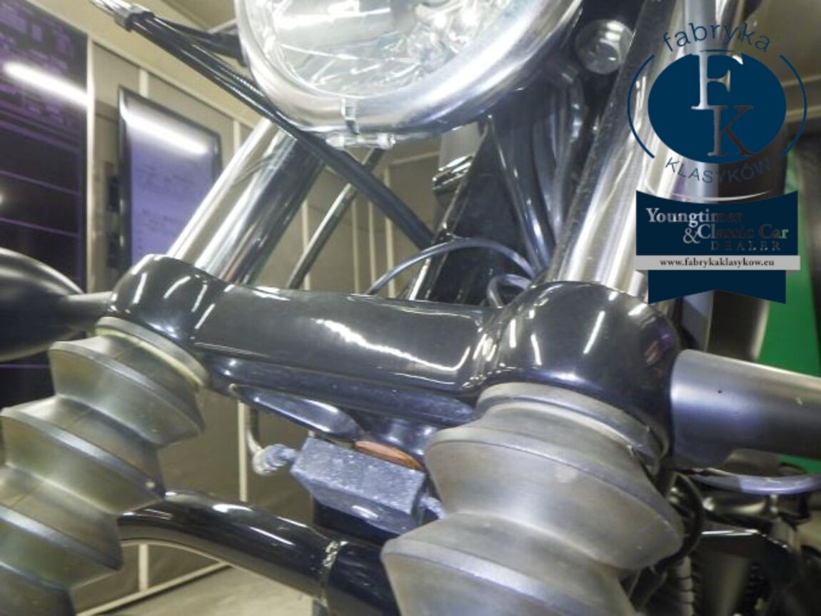 HARLEY-DAVIDSON XL883N 2020 - zdjęcie 22