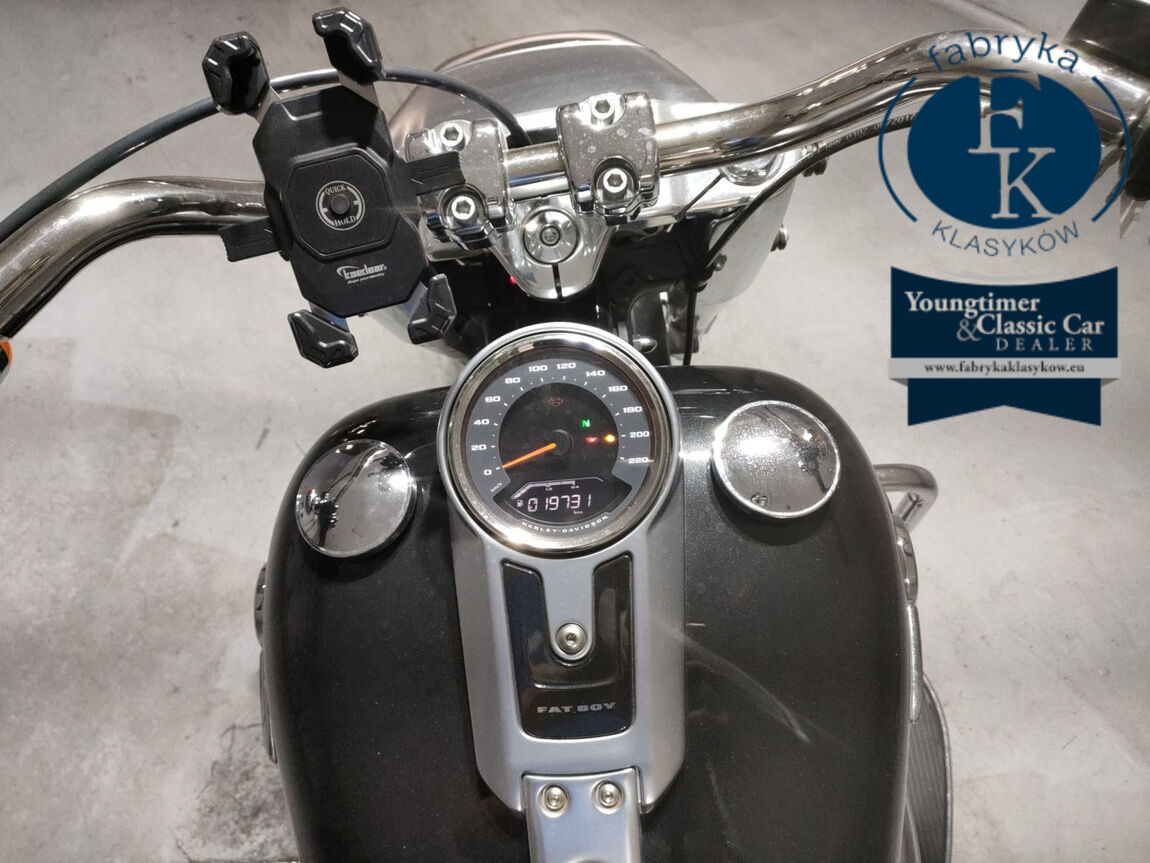 HARLEY-DAVIDSON FLFB1750 2018 - zdjęcie 6