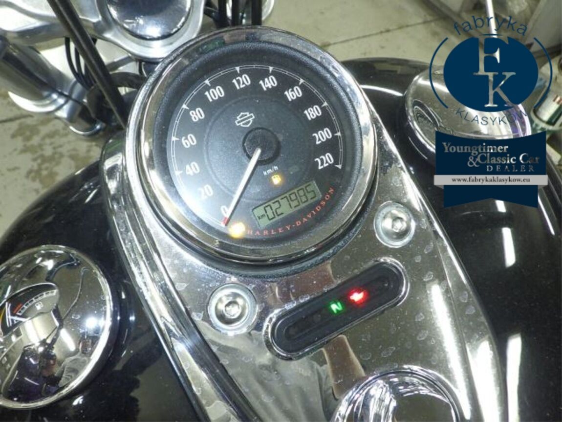 HARLEY-DAVIDSON FXDWG1580 2014 - zdjęcie 15
