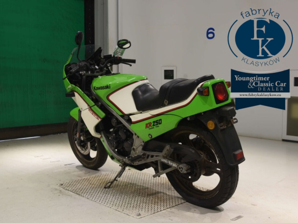 KAWASAKI KR250  - zdjęcie 7