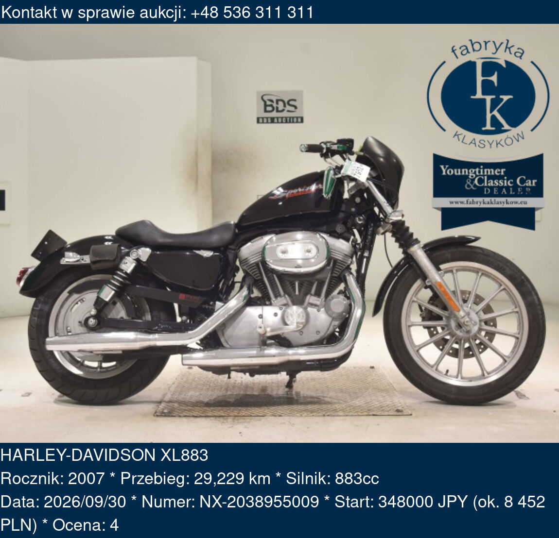HARLEY-DAVIDSON XL883 2007 - zdjęcie 2