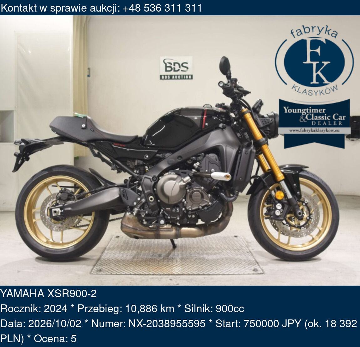YAMAHA XSR900-2 2024 - zdjęcie 2