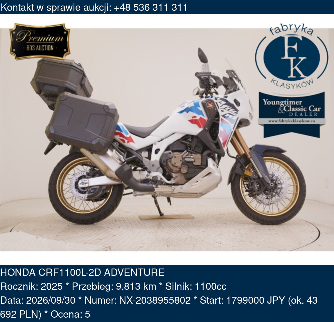 HONDA CRF1100L-2D ADVENTURE 2025 - zdjęcie 2