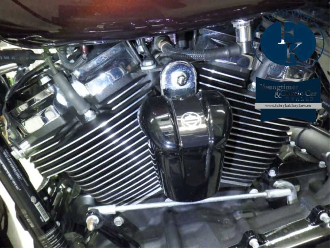 HARLEY-DAVIDSON FLHRXS1870 2019 - zdjęcie 9