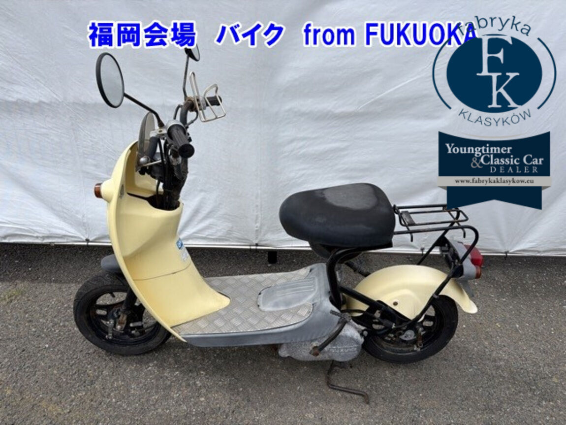 SUZUKI CHOINORI  - zdjęcie 3