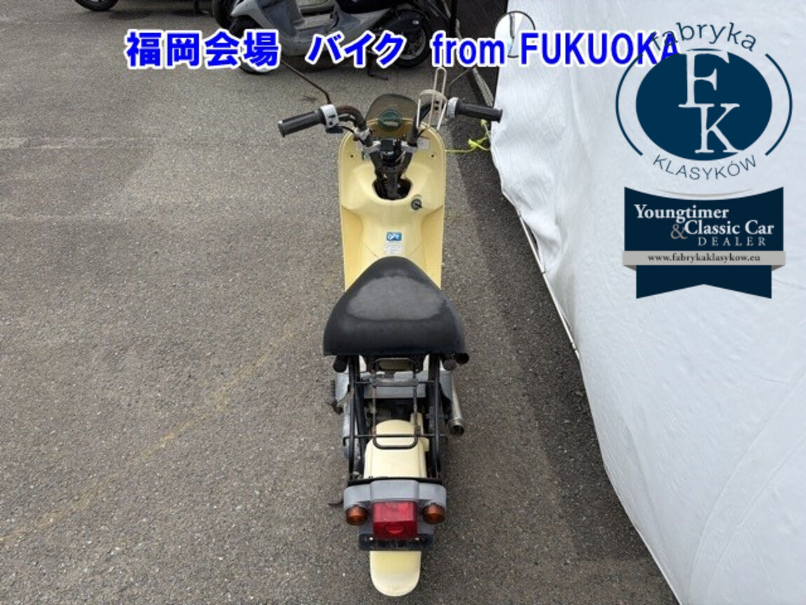 SUZUKI CHOINORI  - zdjęcie 4