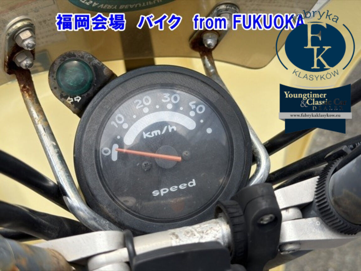 SUZUKI CHOINORI  - zdjęcie 7